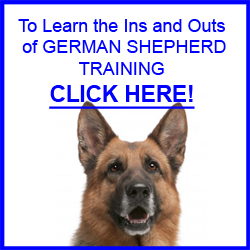 German Shepherd Training Tips