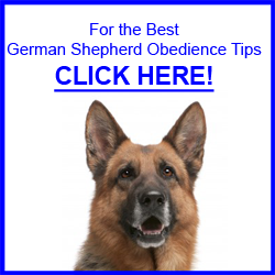 German Shepherd Obedience