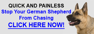 Stop German Shepherd Chasing