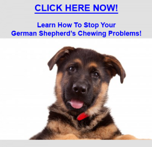 Stop German Shepherd Chewing