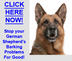 Stop German Shepherd Barking