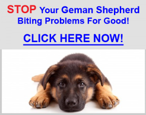 Stop German Shepherd Biting