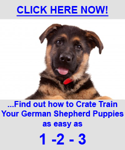 German Shepherd Crate Training