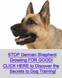 snarling german shepherd growl